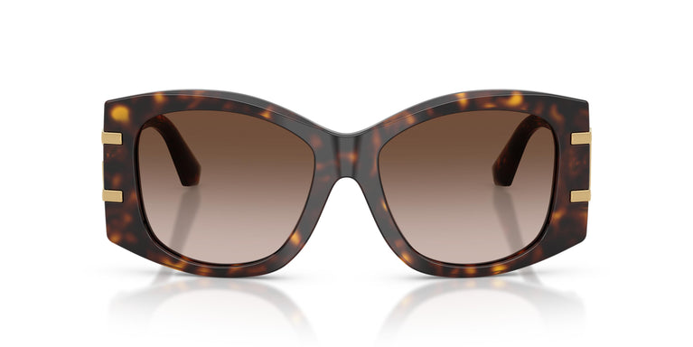 Dolce & Gabbana DG4501 502/13 54