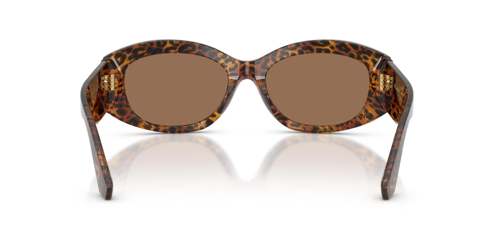 Dolce & Gabbana DG4502 347073 55