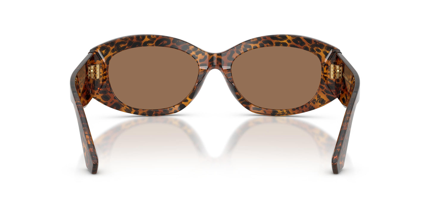 Dolce & Gabbana DG4502 347073 55