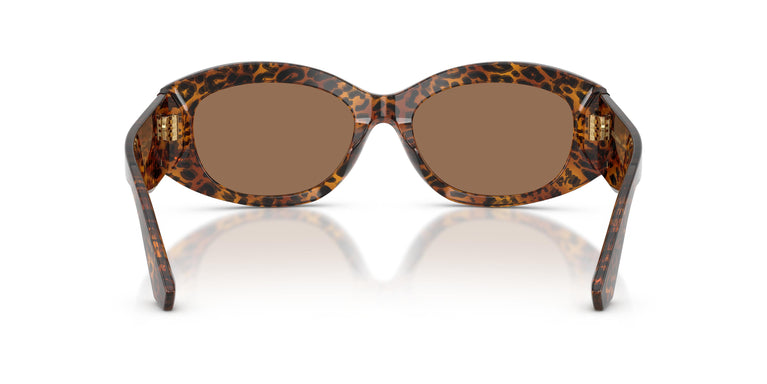 Dolce & Gabbana DG4502 347073 55