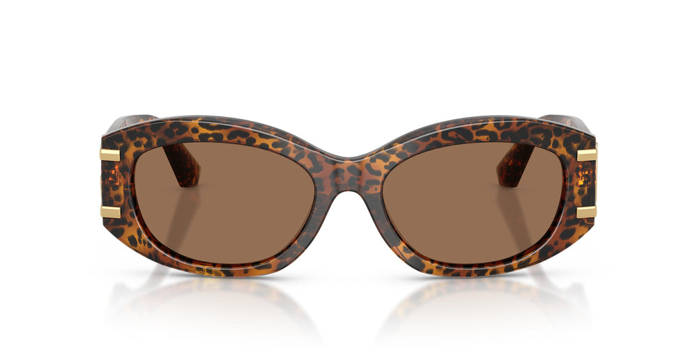 Dolce & Gabbana DG4502 347073 55