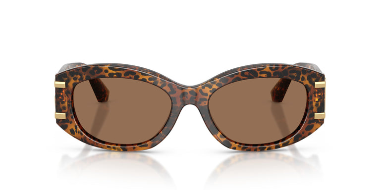 Dolce & Gabbana DG4502 347073 55