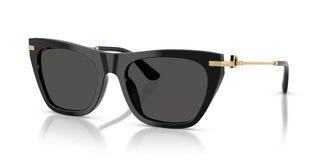 Dolce & Gabbana DG4511 501/87 55