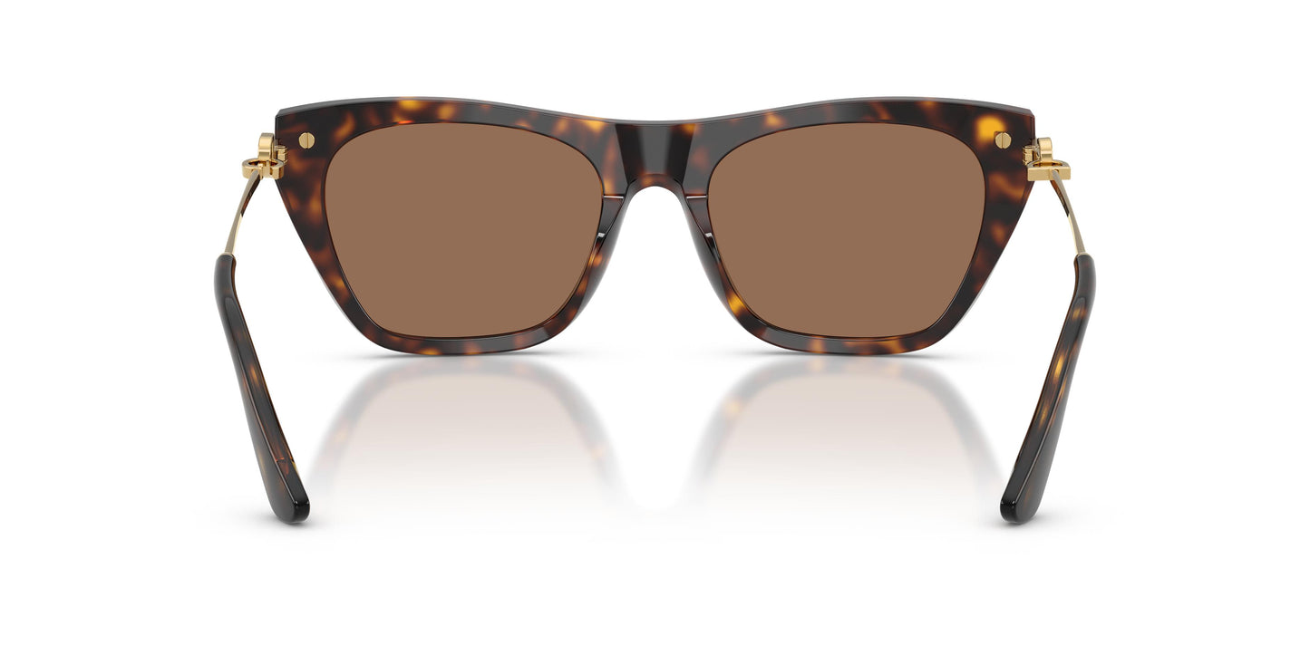 Dolce & Gabbana DG4511 502/73 55