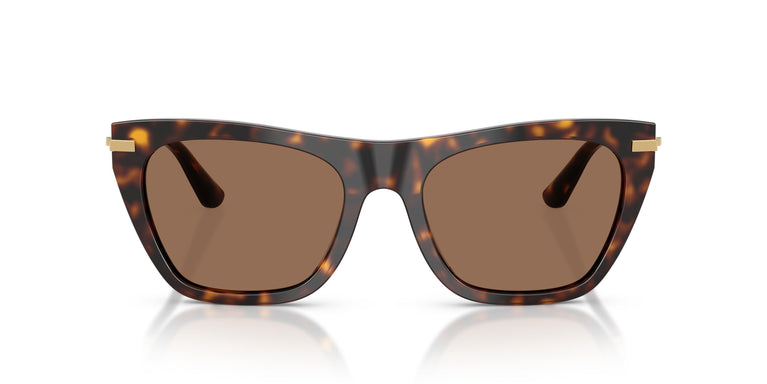 Dolce & Gabbana DG4511 502/73 55