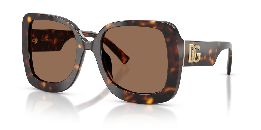 Dolce & Gabbana DG4513 502/73 55