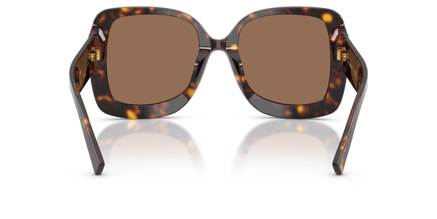 Dolce & Gabbana DG4513 502/73 55