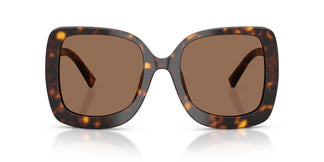 Dolce & Gabbana DG4513 502/73 55