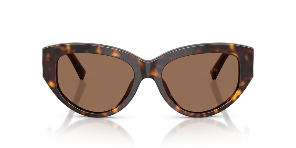 Dolce & Gabbana DG4514 502/73 55