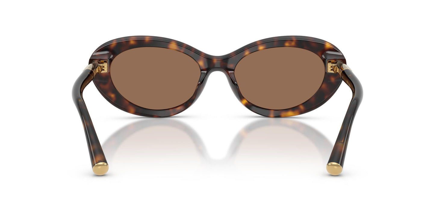 Dolce & Gabbana DG4519 502/73 54