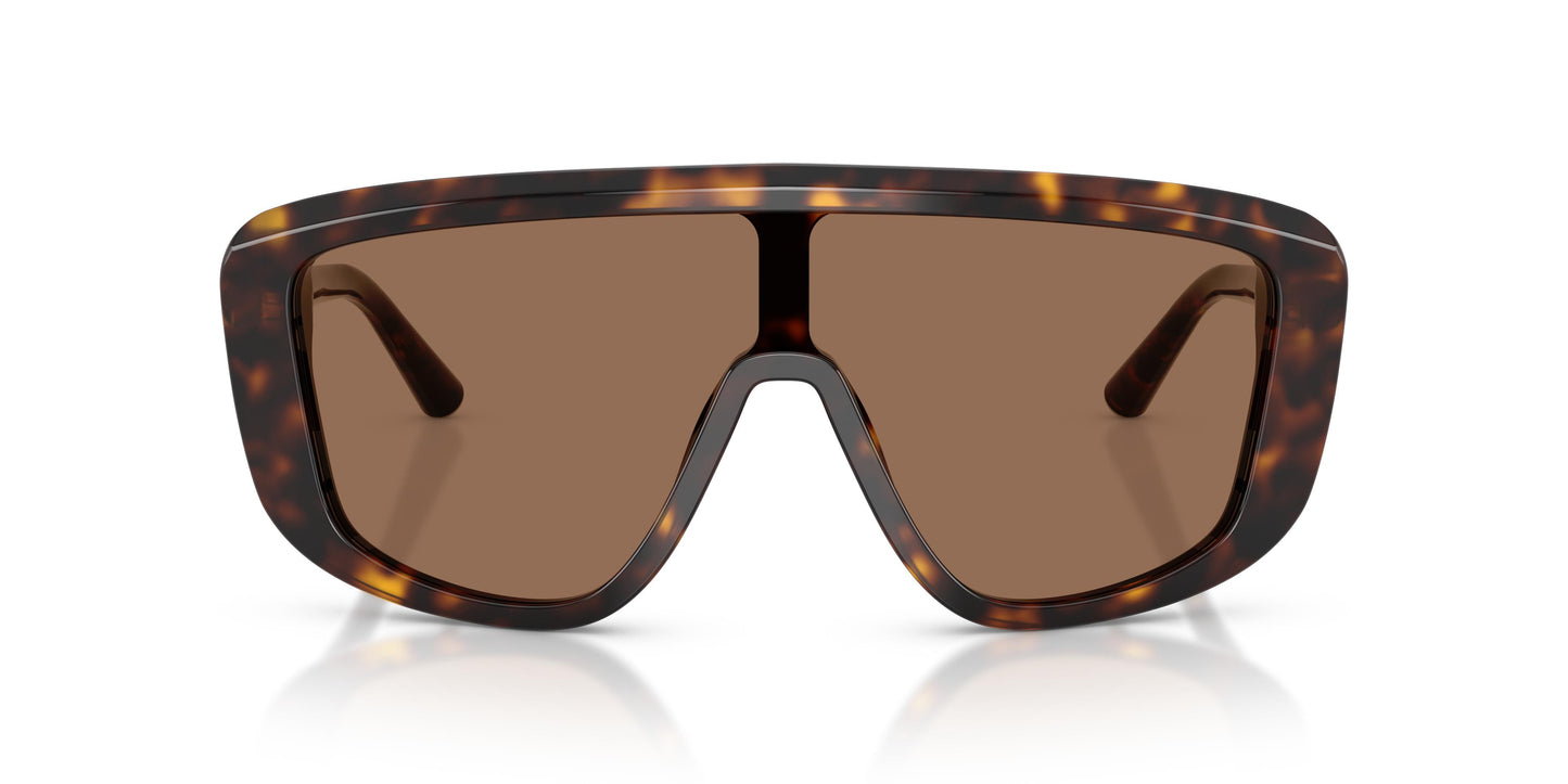 Dolce & Gabbana DG4520 502/73 0