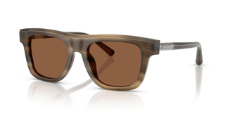 Dolce & Gabbana DG4521 3200OK 52