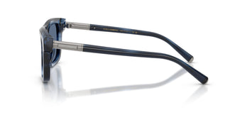 Dolce & Gabbana DG4521 344880 52