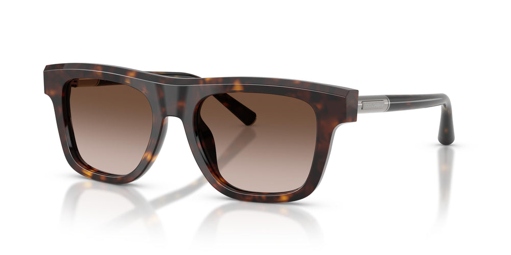 Dolce & Gabbana DG4521 502/13 52