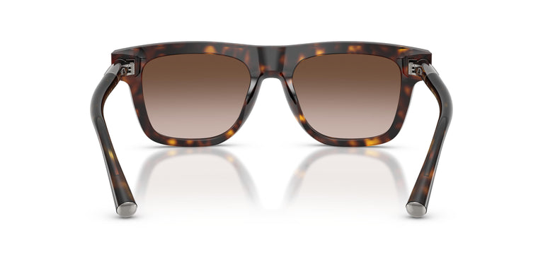 Dolce & Gabbana DG4521 502/13 52