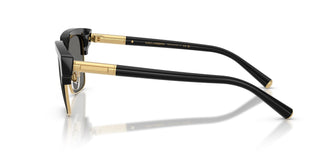 Dolce & Gabbana DG4522 501/1 54