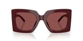 Dolce & Gabbana DG4525B 309175 54