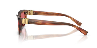 Dolce & Gabbana DG4532 322175 53