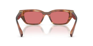 Dolce & Gabbana DG4532 322175 53