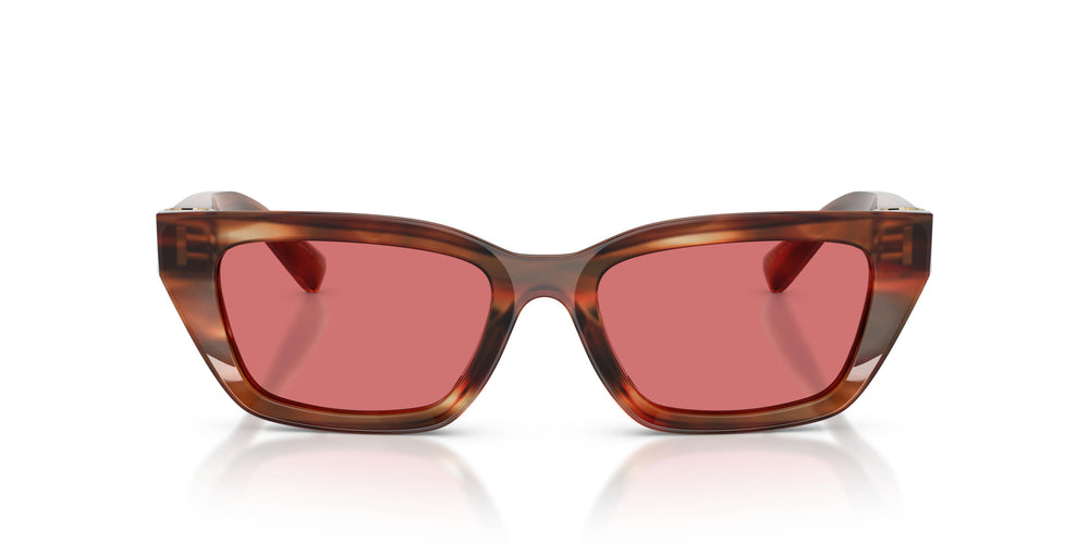 Dolce & Gabbana DG4532 322175 53