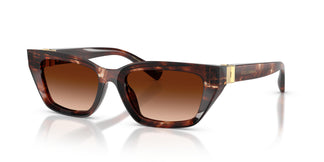 Dolce & Gabbana DG4532 322274 53