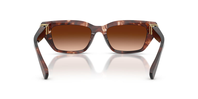 Dolce & Gabbana DG4532 322274 53