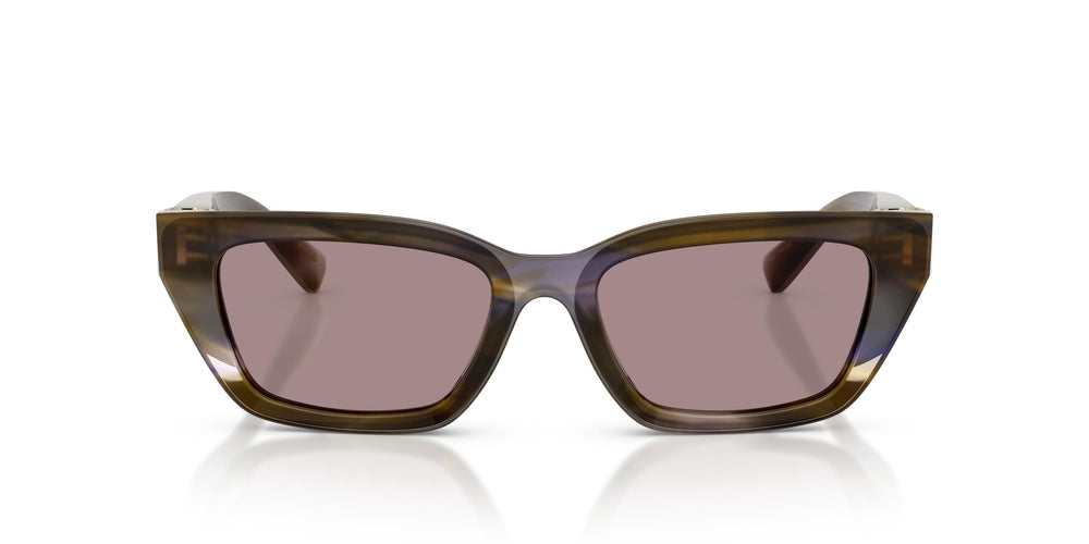 Dolce & Gabbana DG4532 3447LA 53