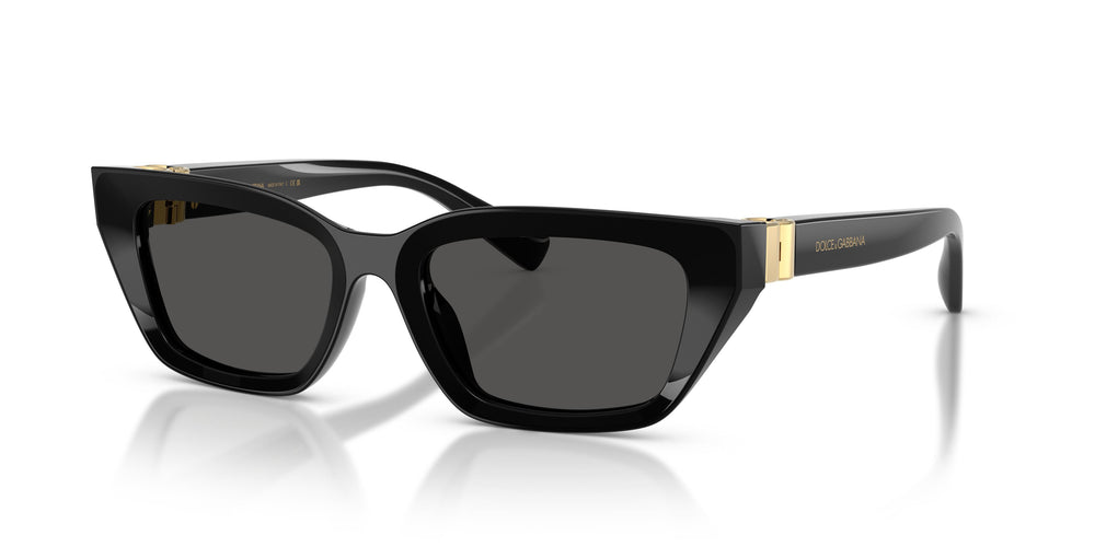 Dolce & Gabbana DG4532 501/87 53