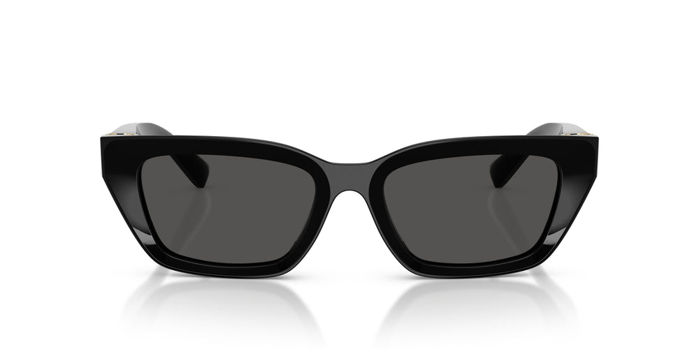 Dolce & Gabbana DG4532 501/87 53