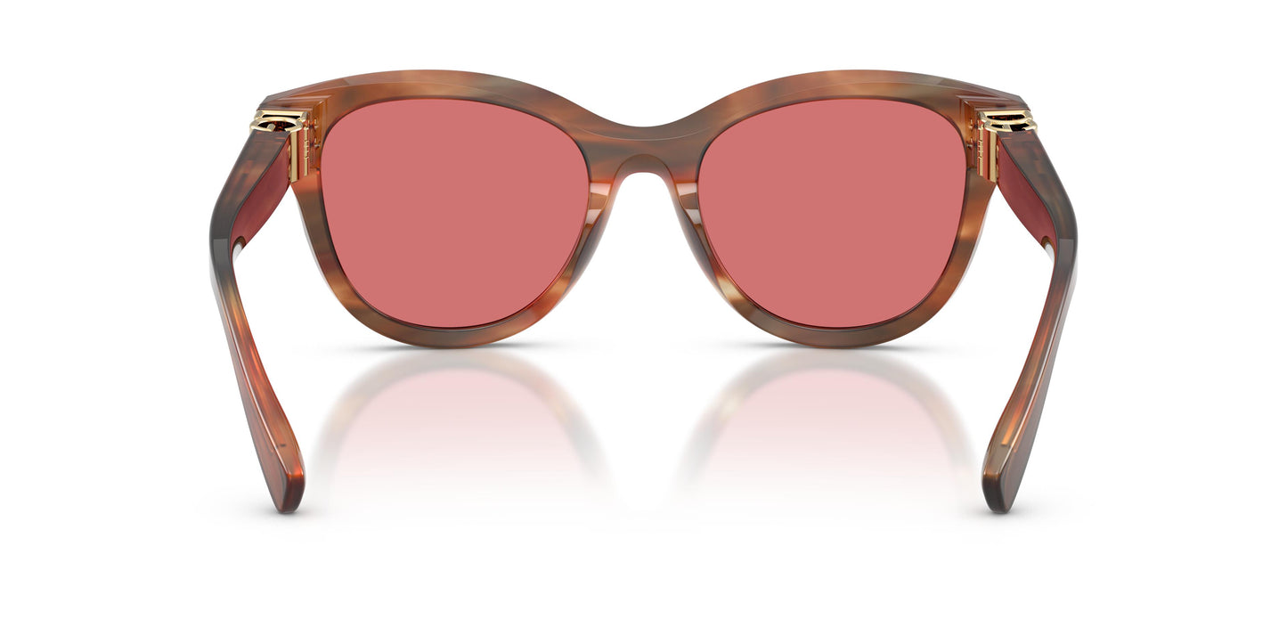 Dolce & Gabbana DG4533 322175 54