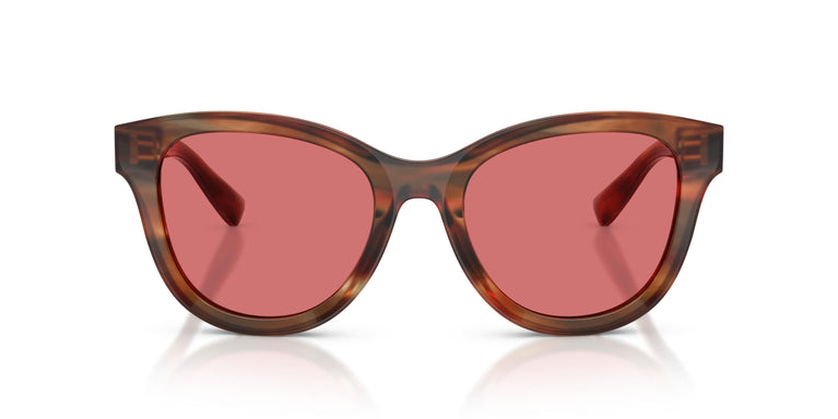 Dolce & Gabbana DG4533 322175 54