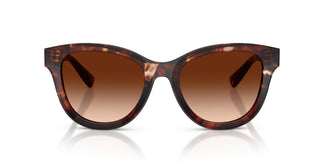 Dolce & Gabbana DG4533 322274 54
