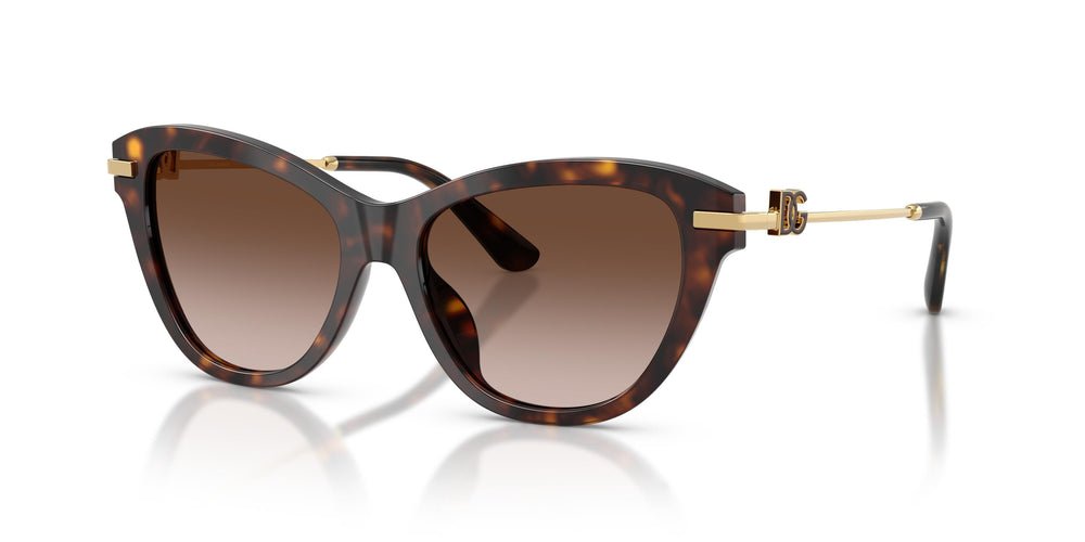 Dolce & Gabbana DG4534 502/13 53