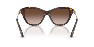Dolce & Gabbana DG4534 502/13 53