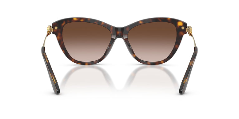Dolce & Gabbana DG4534 502/13 53