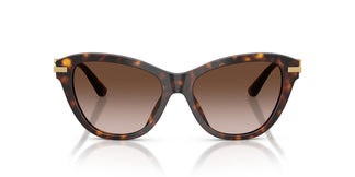 Dolce & Gabbana DG4534 502/13 53