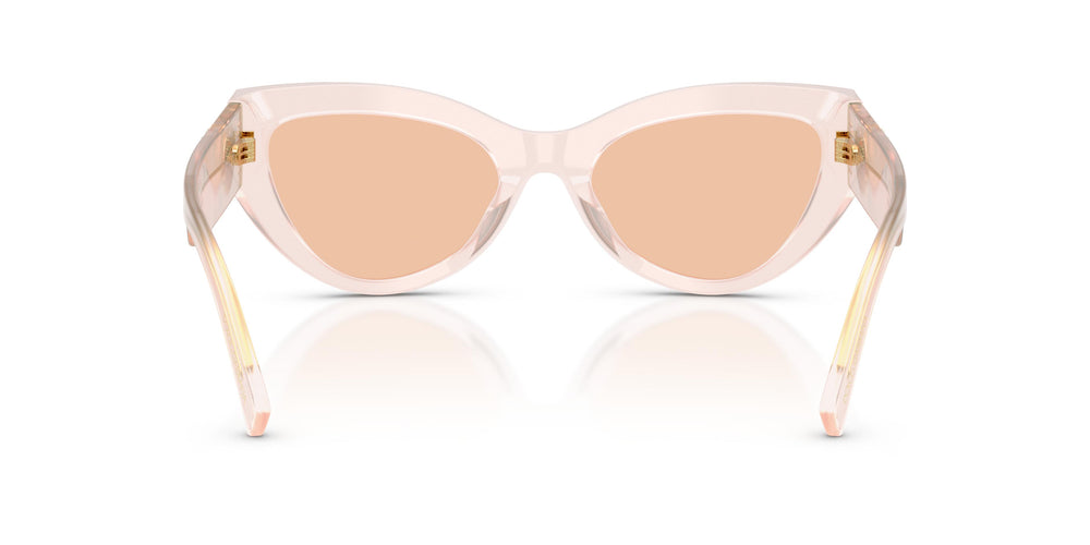 Dolce & Gabbana DG4536 304173 55