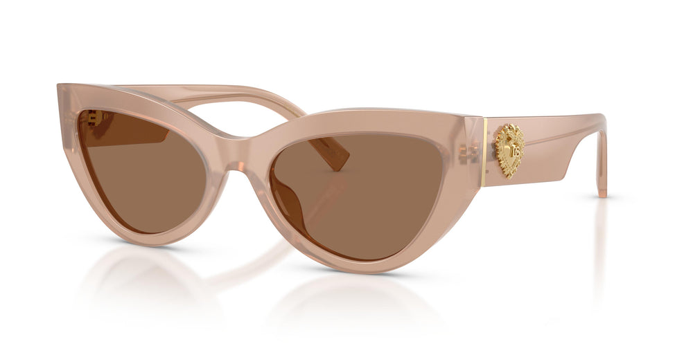 Dolce & Gabbana DG4536 304273 55