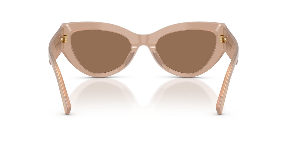 Dolce & Gabbana DG4536 304273 55