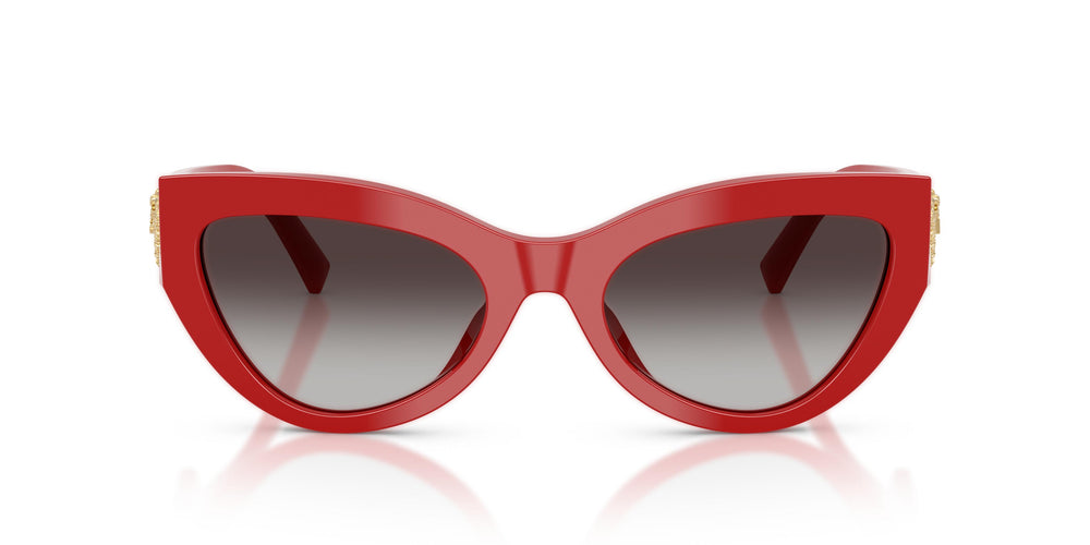 Dolce & Gabbana DG4536 30888G 55