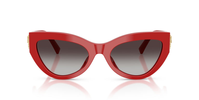 Dolce & Gabbana DG4536 30888G 55