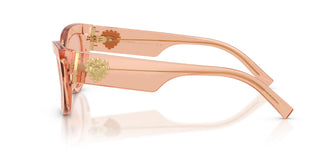 Dolce & Gabbana DG4536 322684 55
