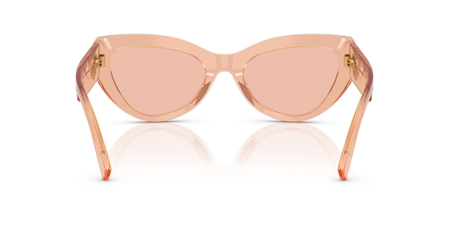 Dolce & Gabbana DG4536 322684 55