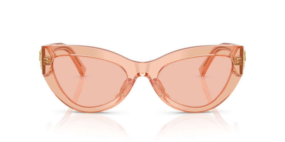 Dolce & Gabbana DG4536 322684 55