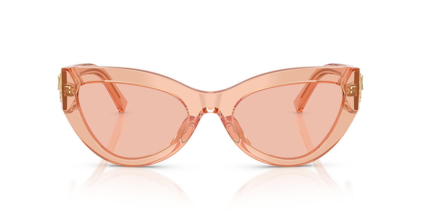 Dolce & Gabbana DG4536 322684 55