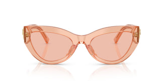 Dolce & Gabbana DG4536 322684 55