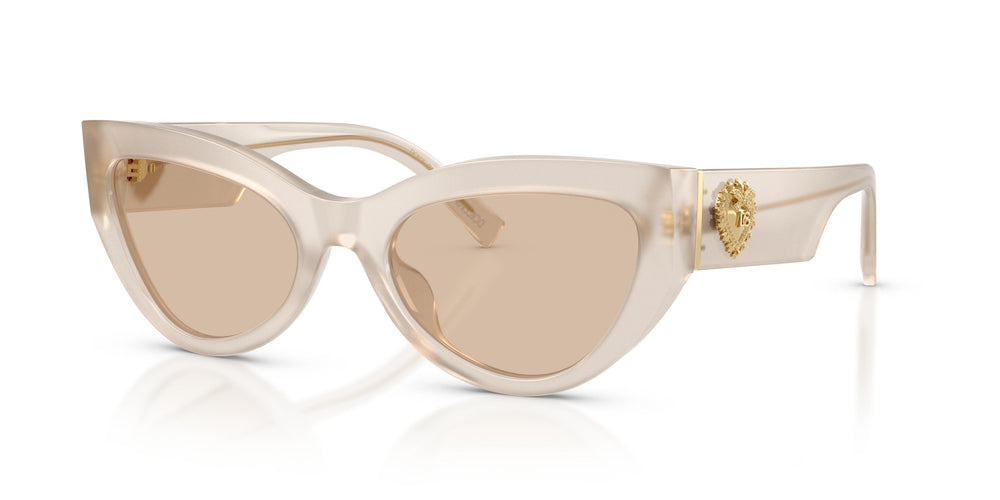 Dolce & Gabbana DG4536 342093 55