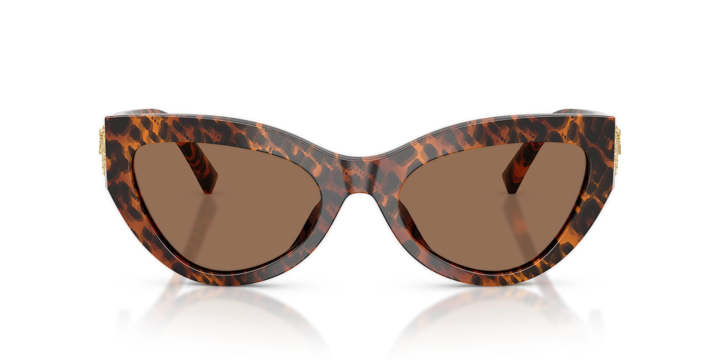 Dolce & Gabbana DG4536 347073 55