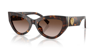 Dolce & Gabbana DG4536 502/13 55
