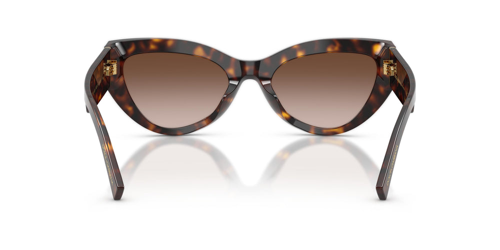 Dolce & Gabbana DG4536 502/13 55